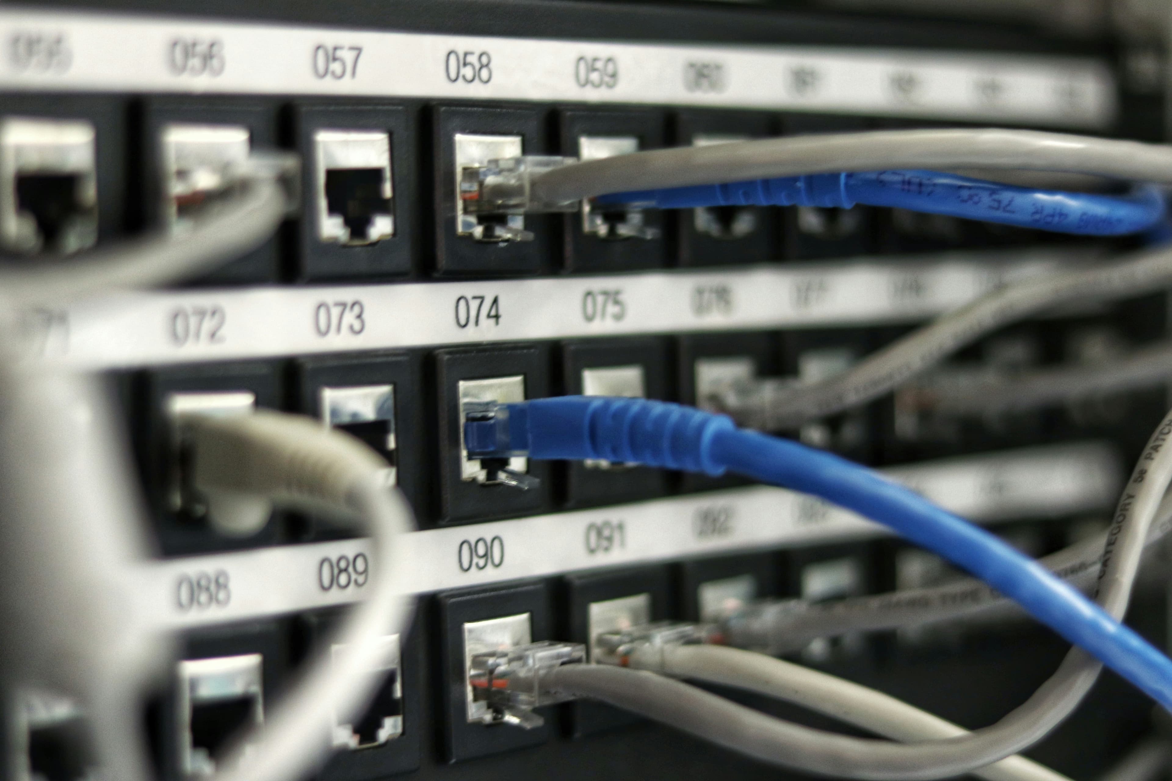 Nahaufnahme eines Netzwerk-Patchpanels mit nummerierten Ports und eingesteckten blauen und grauen Netzwerkkabeln.